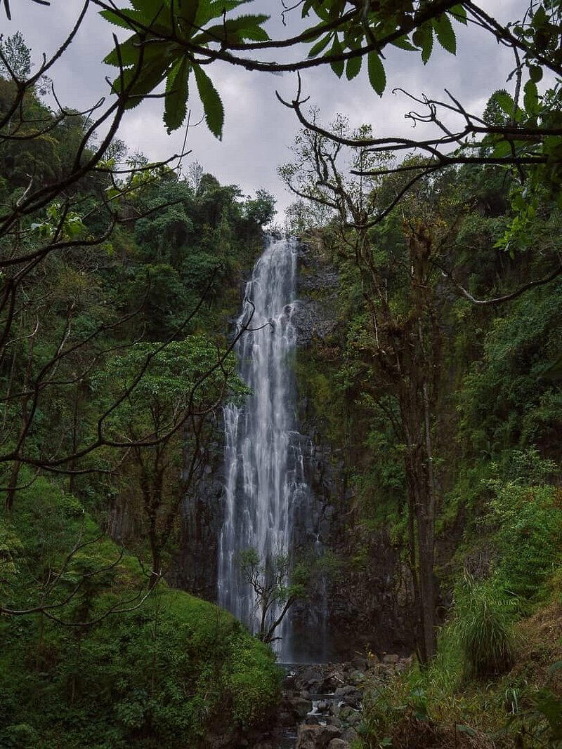 Materuni Waterfall Near Mount Kilimanjaro, Tanzania Scenic view of Materuni Waterfall surrounded by lush tropical forest near Mount Kilimanjaro in Tanzania