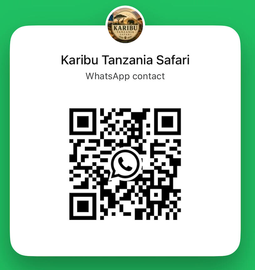 Mount Kilimanjaro Trekking Routes and Hiking Packages, Tanzania Mount Kilimanjaro in Tanzania, the starting point for guided trekking routes including Machame, Lemosho, Marangu, Rongai and Northern Circuit routes