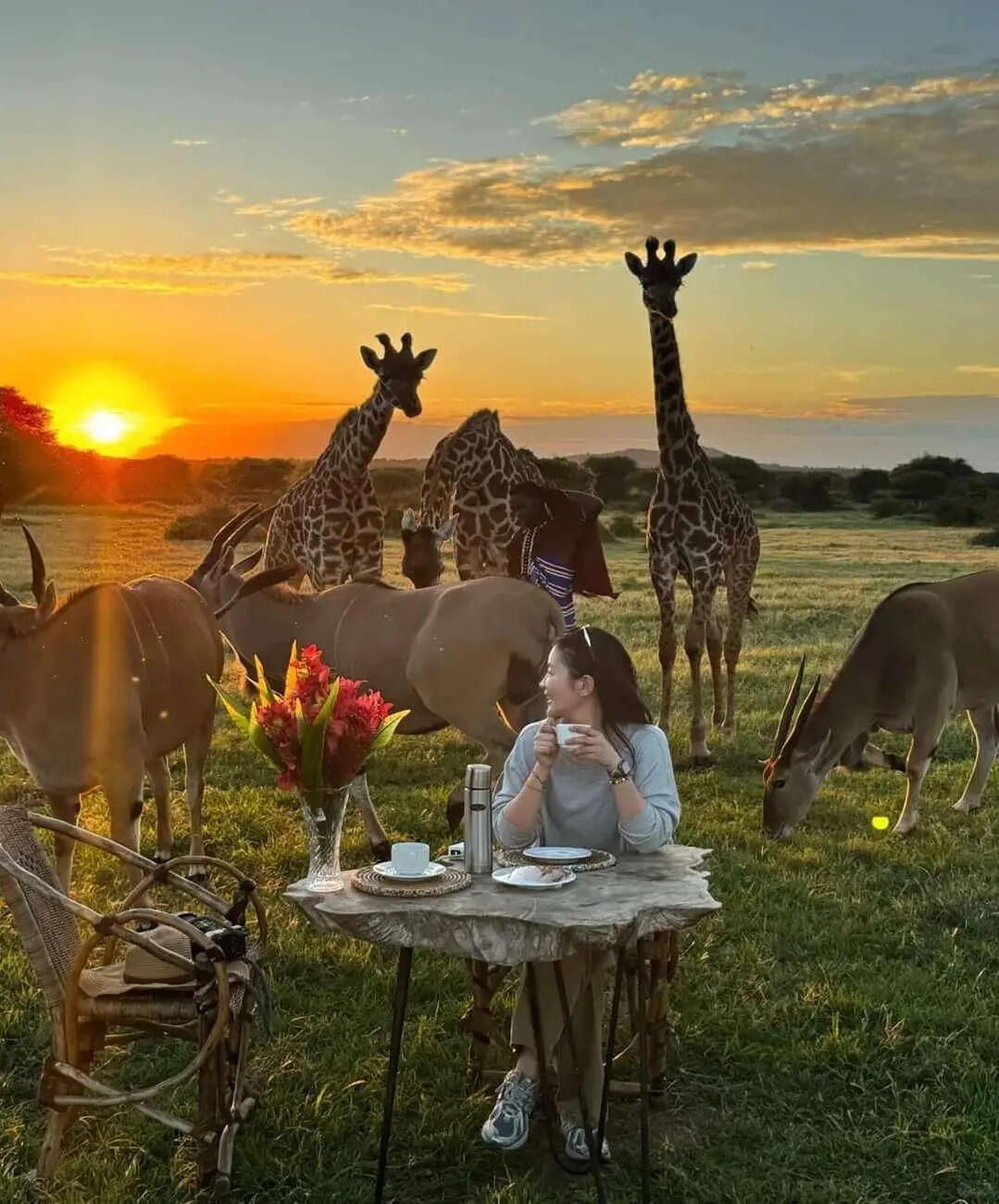 Giraffe Wildlife Experience at Serval Wildlife, Tanzania Giraffes at Serval Wildlife in Tanzania during an interactive nature and wildlife experience